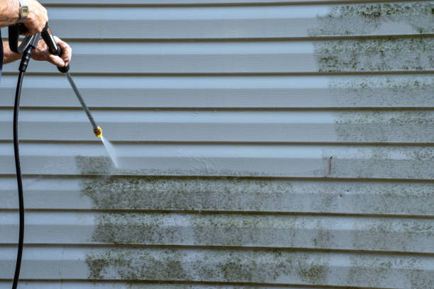 Best Custom Siding Design  in Ross, OH