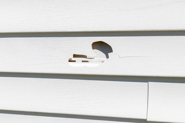 Best Weatherproofing and Sealing  in Ross, OH